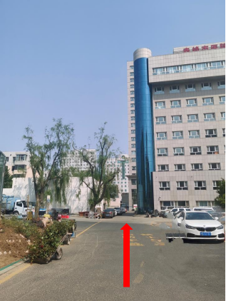 from clipboard from clipboard